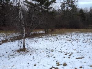 3311 S Elm Ave, White Cloud, MI 49349 photo 14
