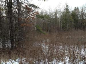 3311 S Elm Ave, White Cloud, MI 49349 photo 12
