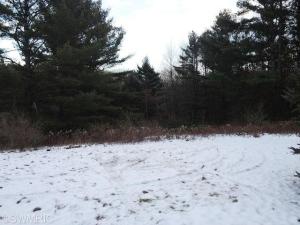3311 S Elm Ave, White Cloud, MI 49349 photo 13
