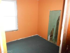 209 S Broas St, Belding, MI 48809 photo 6