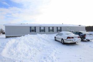 4111 34th St, Gobles, MI 49055 photo 1