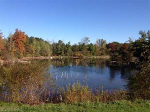 9069 Wagar, Lyons, MI 48851 photo 10
