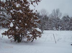 5786 E 48th St, Newaygo, MI 49337 photo 5