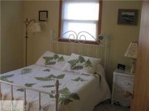 292 S Higbee St, Lyons, MI 48851 photo 9