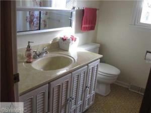 292 S Higbee St, Lyons, MI 48851 photo 8