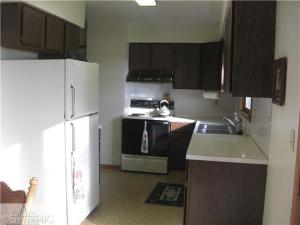 292 S Higbee St, Lyons, MI 48851 photo 4