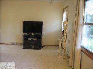 292 S Higbee St, Lyons, MI 48851 photo 7
