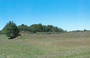 1972 E Chauvez Rd, Custer, MI 49405 photo 4