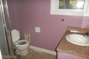 208 E Grant St, Plainwell, MI 49080 photo 8