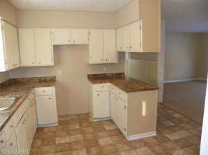 120 E Sidney Rd, Stanton, MI 48888 photo 3