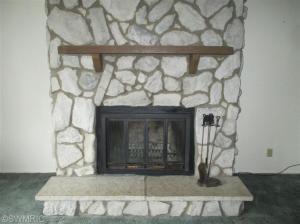 50075 Red Run Rd, Marcellus, MI 49067 photo 6