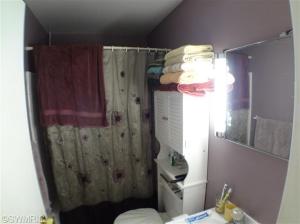 2874 N Baldwin Ave, White Cloud, MI 49349 photo 9