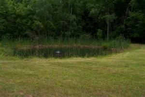 7858 E River Rd, Walkerville, MI 49459 photo 14