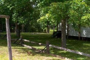 7858 E River Rd, Walkerville, MI 49459 photo 21