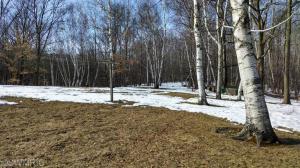 4853 E Briggs Rd, Stanton, MI 48888 photo 19