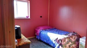 4853 E Briggs Rd, Stanton, MI 48888 photo 13