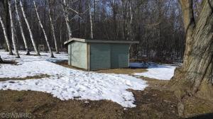 4853 E Briggs Rd, Stanton, MI 48888 photo 21