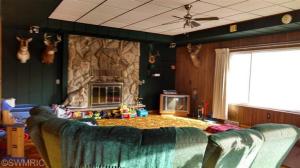 4853 E Briggs Rd, Stanton, MI 48888 photo 5