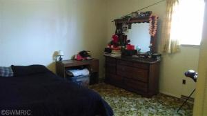 4853 E Briggs Rd, Stanton, MI 48888 photo 16