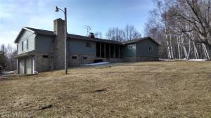 4853 E Briggs Rd, Stanton, MI 48888 photo 23