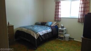4853 E Briggs Rd, Stanton, MI 48888 photo 15