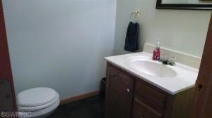 4853 E Briggs Rd, Stanton, MI 48888 photo 11