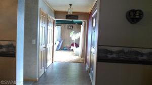 4853 E Briggs Rd, Stanton, MI 48888 photo 7