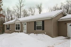 458 N Elm Ave, White Cloud, MI 49349 photo 2