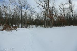 458 N Elm Ave, White Cloud, MI 49349 photo 6