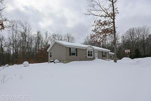 458 N Elm Ave, White Cloud, MI 49349 photo 5