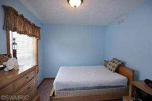 458 N Elm Ave, White Cloud, MI 49349 photo 17