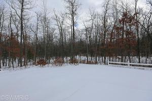 458 N Elm Ave, White Cloud, MI 49349 photo 7