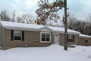 458 N Elm Ave, White Cloud, MI 49349 photo 4