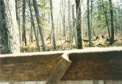 5208 E 2 Mile Rd, White Cloud, MI 49349 photo 16
