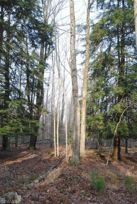 5208 E 2 Mile Rd, White Cloud, MI 49349 photo 1