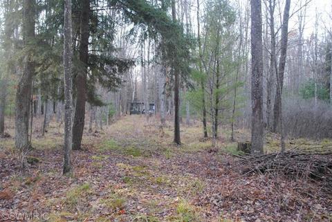 5208 E 2 Mile Rd, White Cloud, MI 49349 photo 6