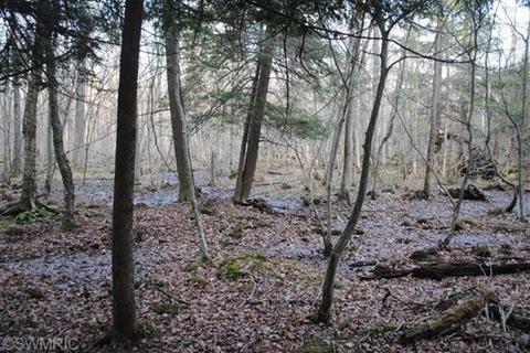 5208 E 2 Mile Rd, White Cloud, MI 49349 photo 19