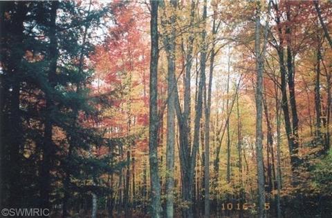 5208 E 2 Mile Rd, White Cloud, MI 49349 photo 5