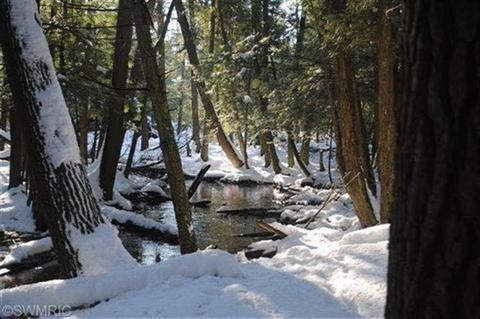 5208 E 2 Mile Rd, White Cloud, MI 49349 photo 2
