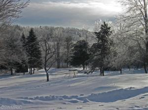 7363 W Edgar Rd, Lakeview, MI 48850 photo 23