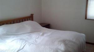 2277 S Walnut Ave, White Cloud, MI 49349 photo 4