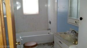 2277 S Walnut Ave, White Cloud, MI 49349 photo 6