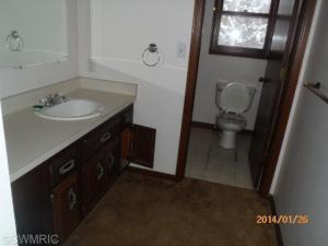 12225 E Ml Ave, Climax, MI 49034 photo 13