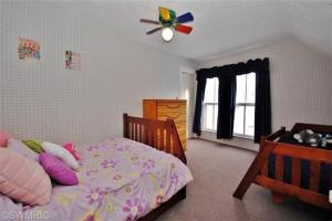 215 E Congress St, Belding, MI 48809 photo 19