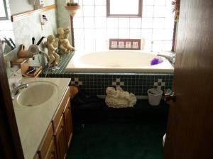 62262 Youngs Pr, Constantine, MI 49042 photo 13