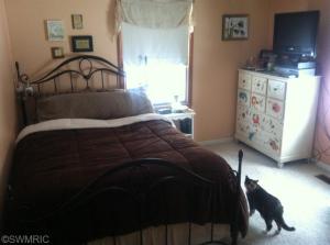 1004 Hunt St, Lyons, MI 48851 photo 6