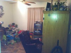 1004 Hunt St, Lyons, MI 48851 photo 12