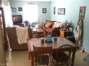 1004 Hunt St, Lyons, MI 48851 photo 16