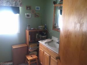 1004 Hunt St, Lyons, MI 48851 photo 13