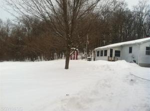 1004 Hunt St, Lyons, MI 48851 photo 17
